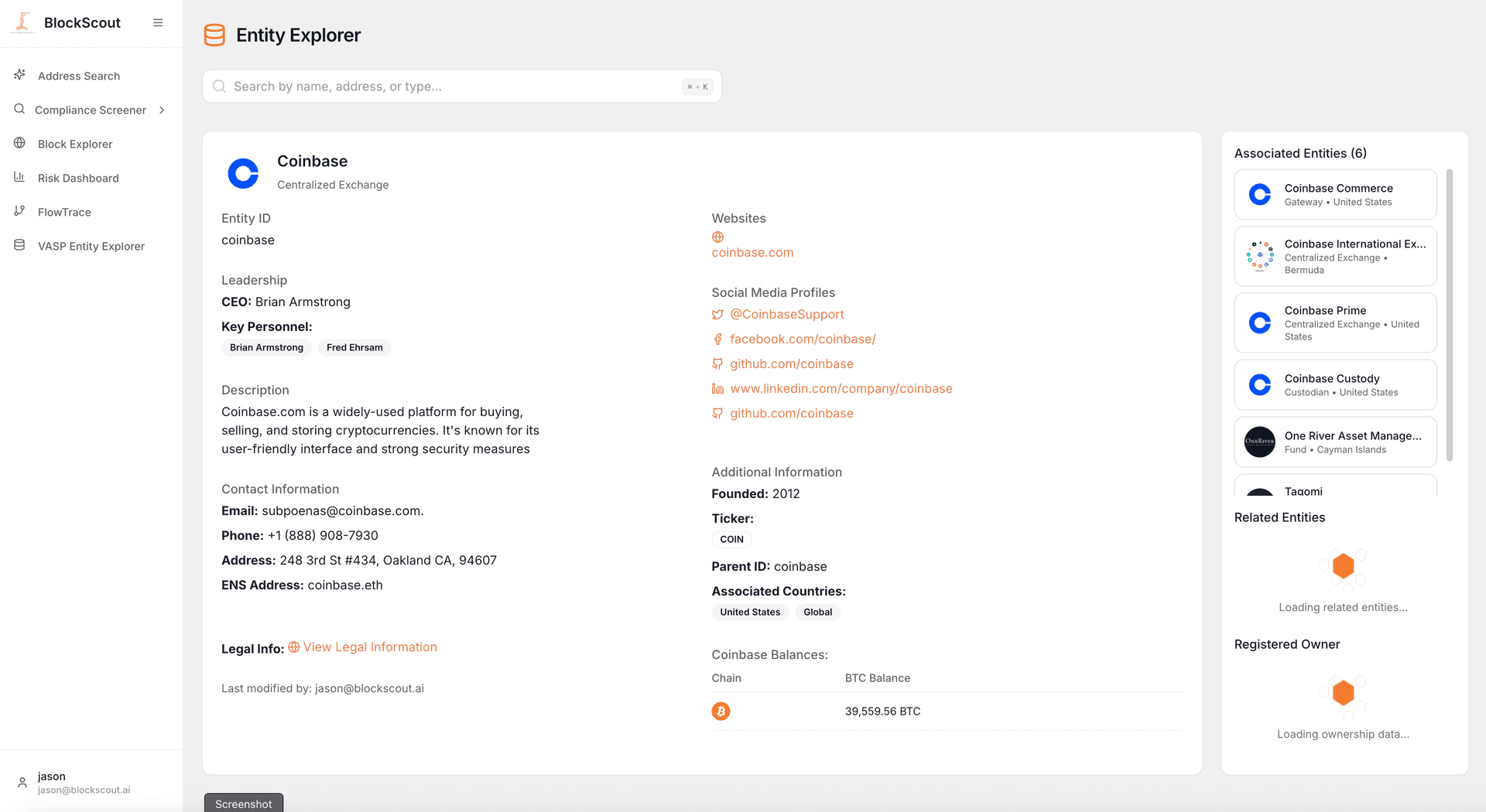 BlockScout Entity Explorer Interface